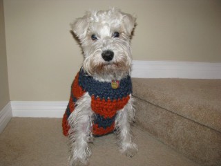 Winston's Sweater
